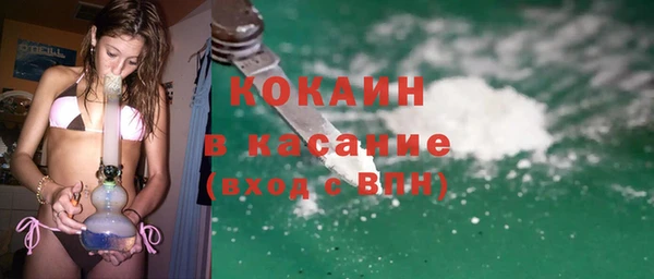 сатива Покачи