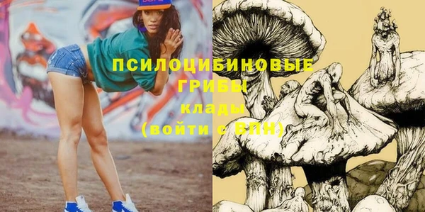 сатива Покачи