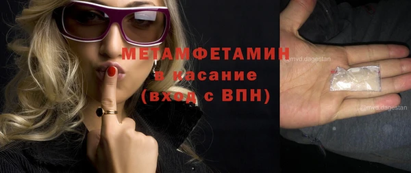 сатива Покачи