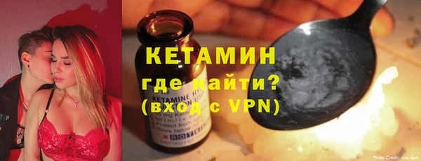 сатива Покачи