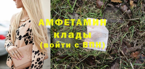 сатива Покачи