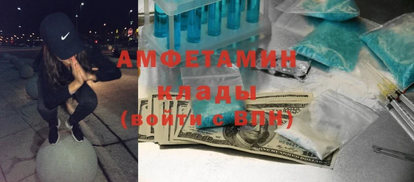 сатива Покачи