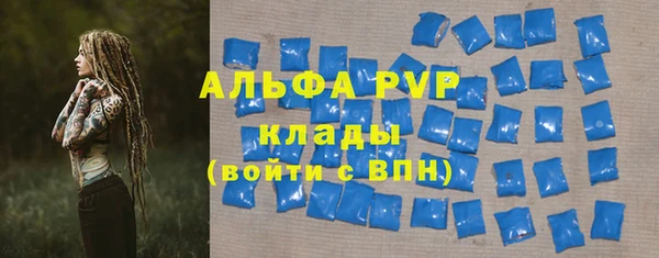 сатива Покачи